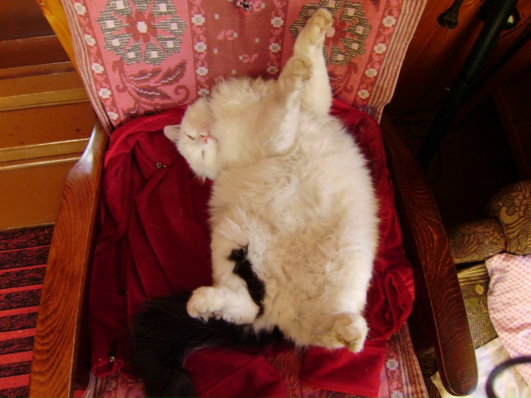 Даша Бастрыкина | Тверь