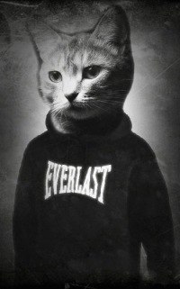 Василий Вакуленко (EVERLAST) | Москва