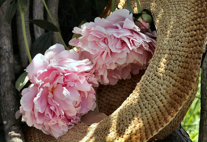 №56, Алена Алексеева, 38 лет, Санкт-Петербург, Россия №56, Алена Алексеева, 38 лет, Санкт-Петербург, Россия