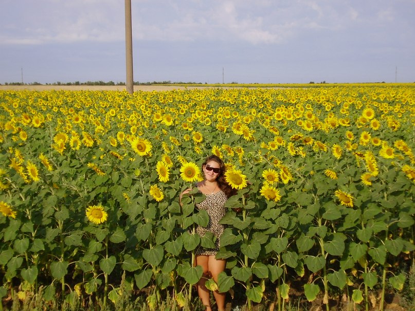 Лилия Корниенко | Приволье