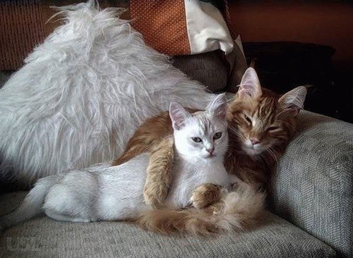 Ольга Квачантирадзе(Потапова) | Великий Новгород