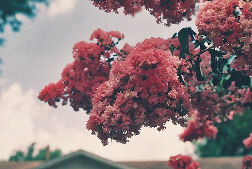 Катерина Маркян | Киев