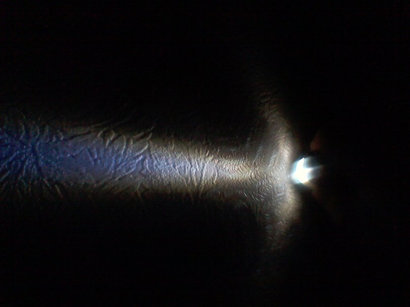 Владимир Скворцов | Пушкино