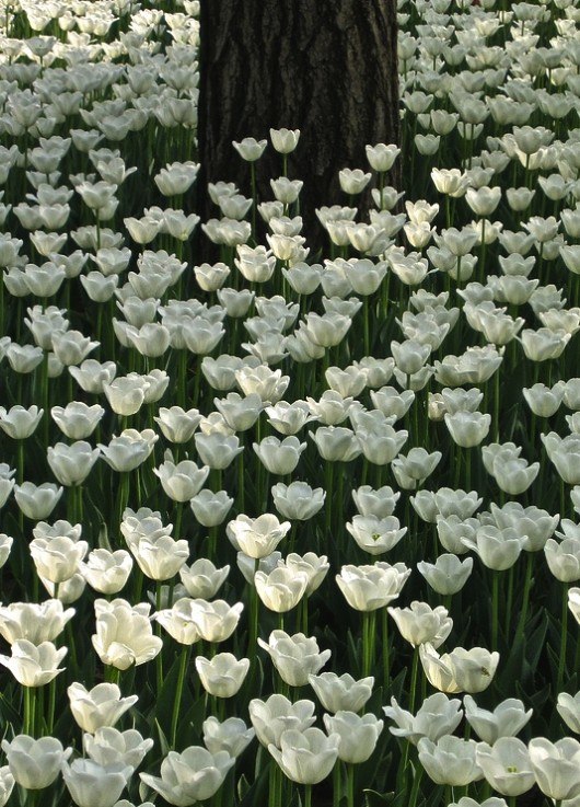 Дамир Хасимов | Астана / Нур-Султан