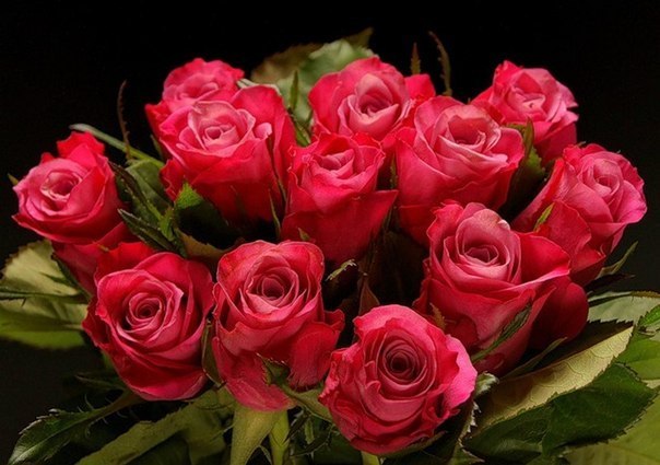 Світлана Величко | 