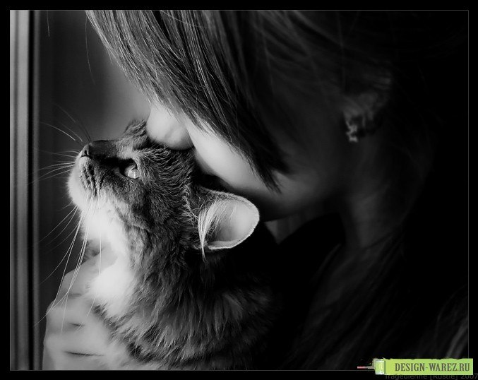 Екатерина Базан | Луганск