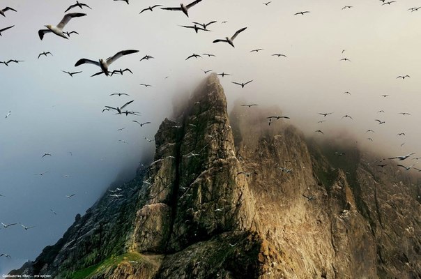 Василий Малков | 