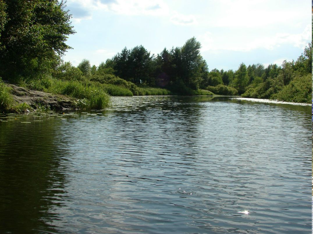 Евгений Александрович Папенко | Киев