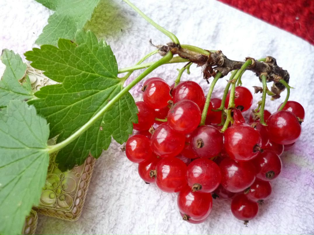 Виктор Подмарев | Москва