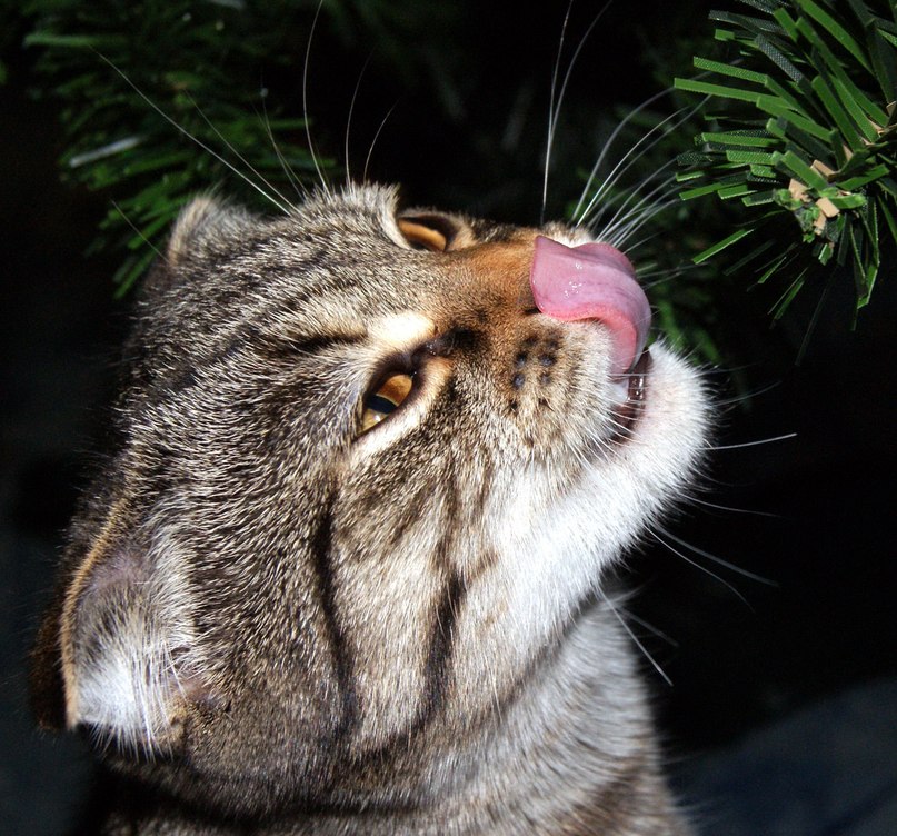 Кристина Килгорд | 