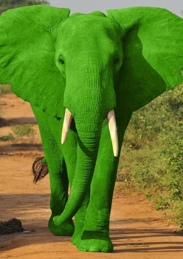 Dmitry Anatolievich | Москва