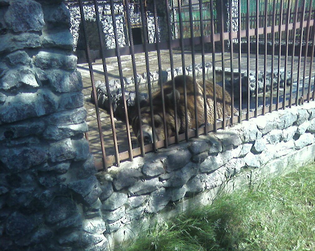 Евгений Комаров | Санкт-Петербург