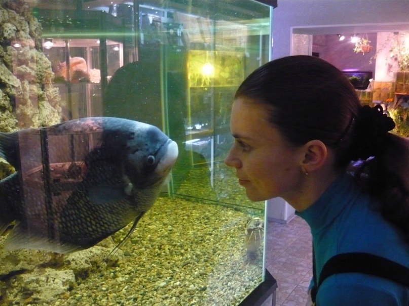 Ольга Тимофеева | Вельск