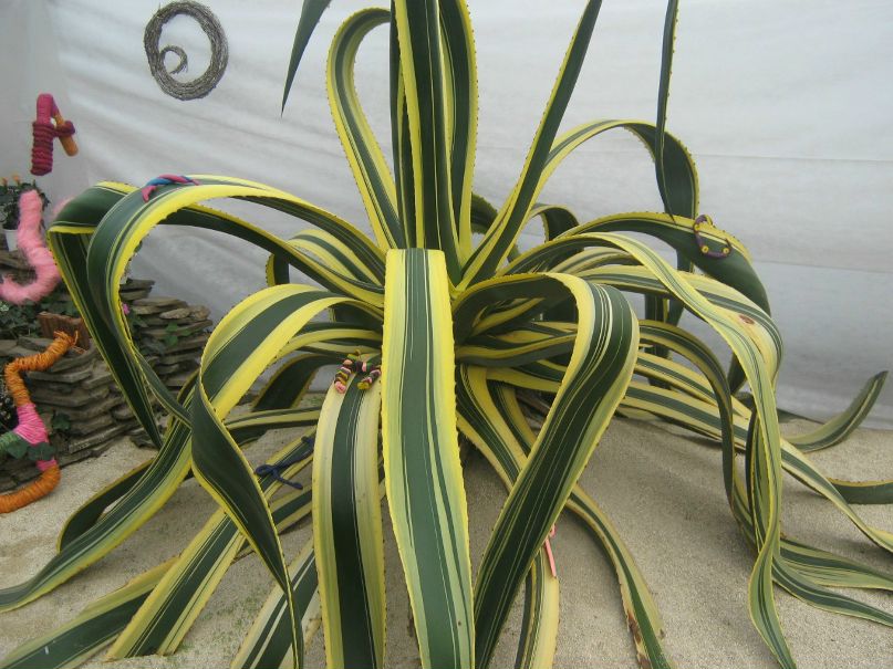 Анна Грановская | Ижевск