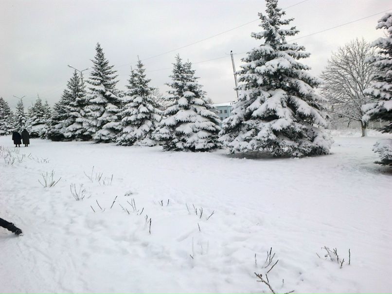 Виталий Очеретяный | 