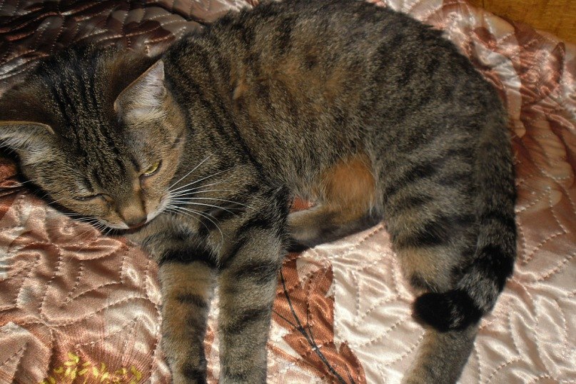 Света Раичева Сергеевна | Москва