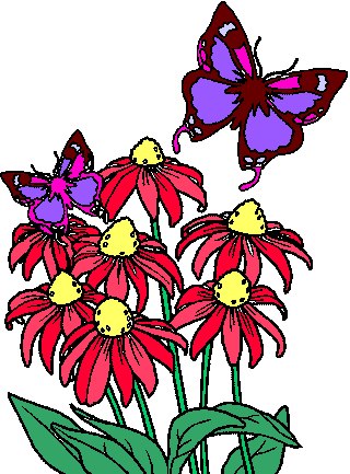 Виктория Васильченко | Мурманск