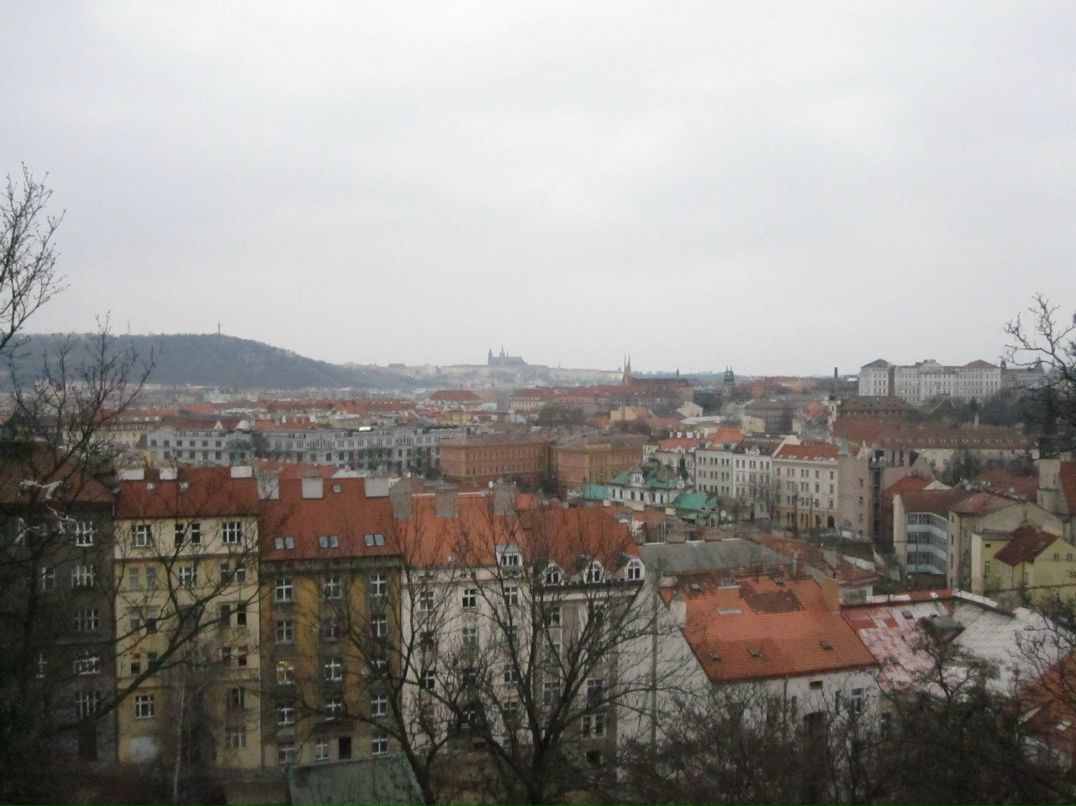 Светлана Veselkovaa | Москва