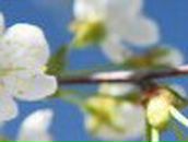 Оля Примак | Ровно