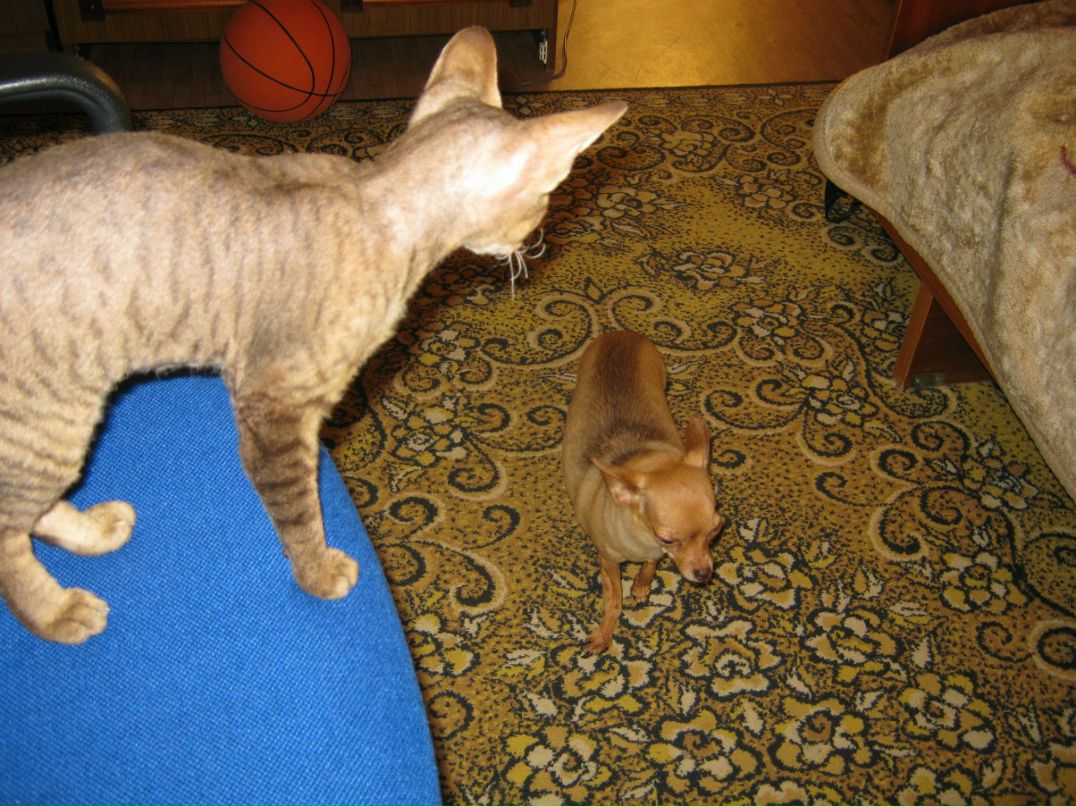 Наталья Загуляева | 