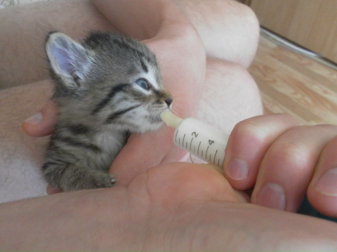 Геннадий Голубничий Владимирович | Красноярск