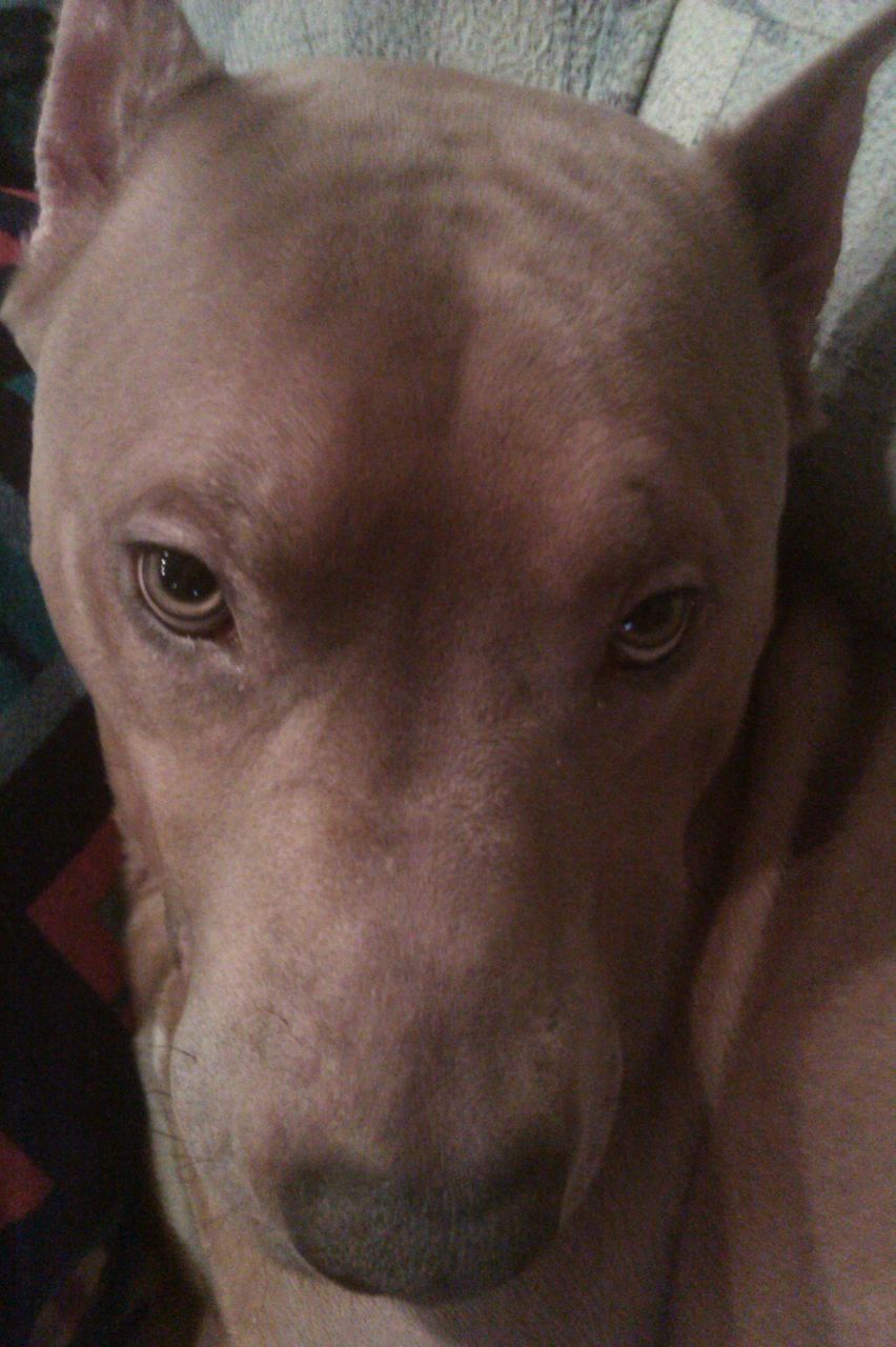 Евгений Братущенко | Ангарск