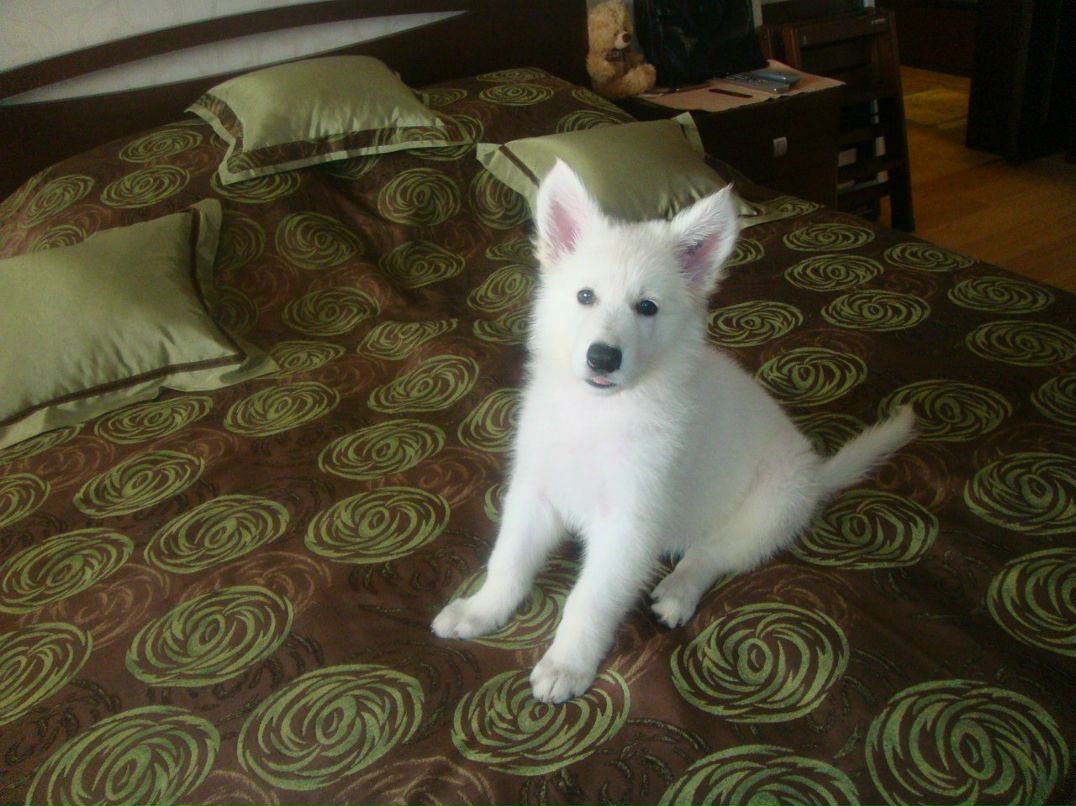 Влад Якубовский | Ивано-Франковск