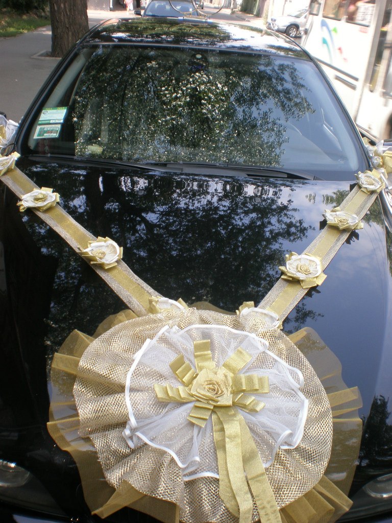 Лана Колоколова | Кропивницкий / Кировоград