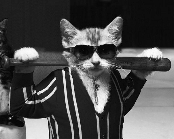 Артем Слепцов *√ιק ✵$LEPEN'✵ | Димитровград