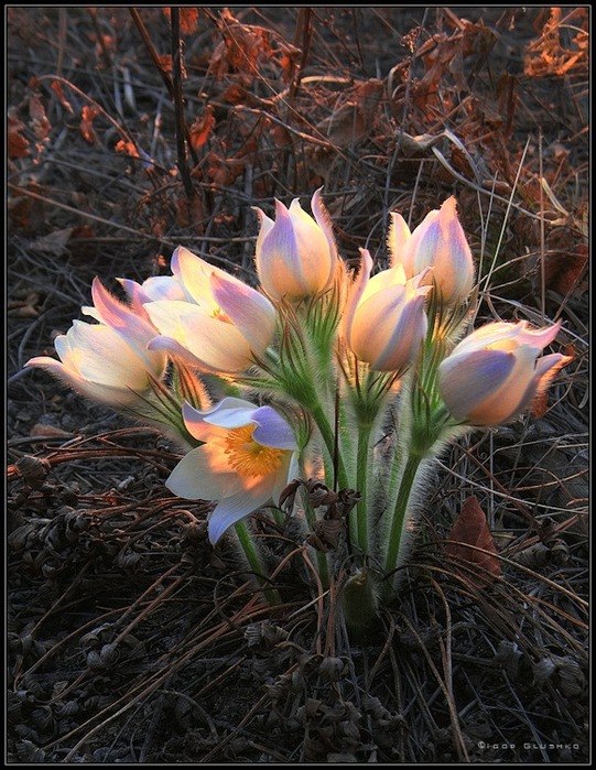 Катюша Зайка }}}~БлОнДи~{{{ | Екатеринбург