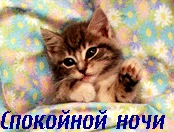 №3, Слава Біланинець, Межгорье №3, Слава Біланинець, Межгорье