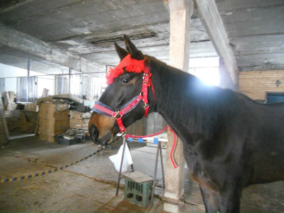 Таисия Медведева | Мытищи