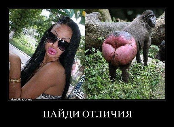 Елена Кондратюк | Николаев