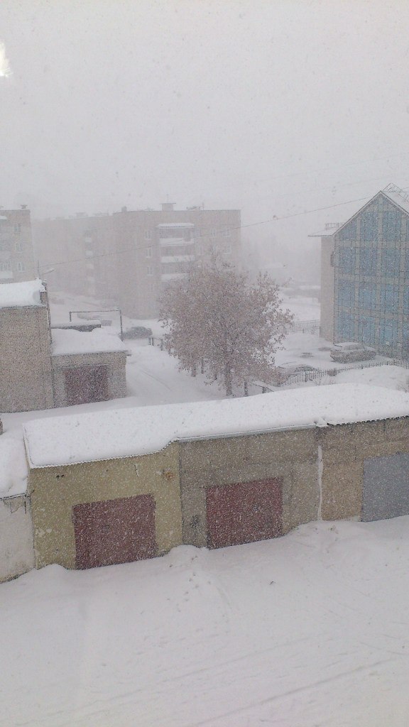 Александр Курка | Лысьва