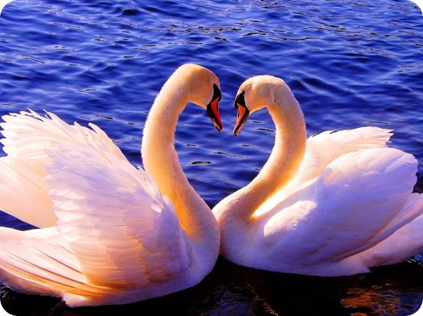 Юлия Мосолова | Курск