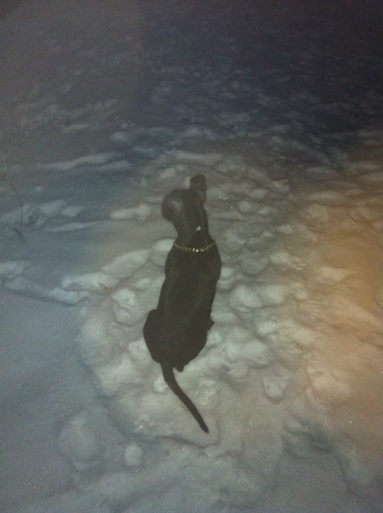 Оленька Рудая | Киев