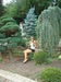 Ирина Лебедева фотография #39