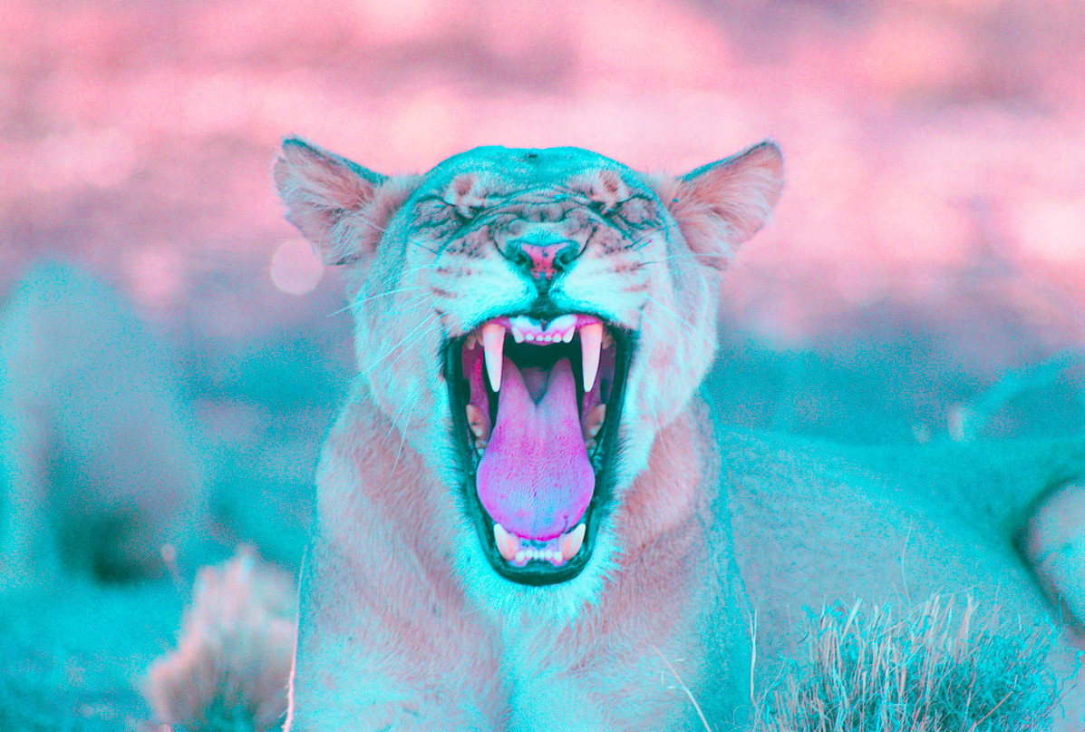 Ольга Колобова | Москва