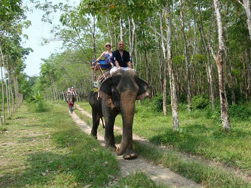 Fatih Sezer | İstanbul