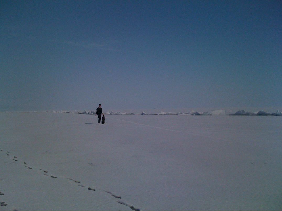 Александр Бержерак | Gwangju