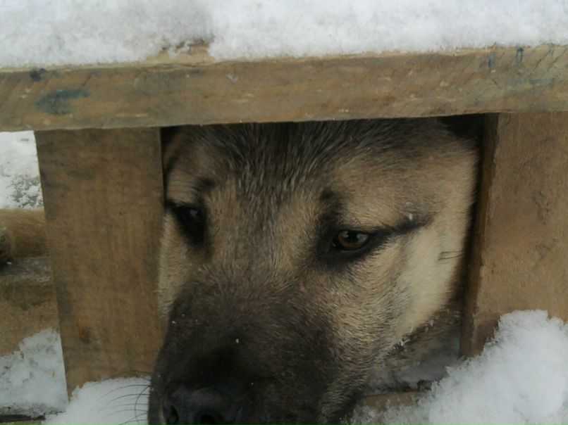 Марсель Бакиров | Казань