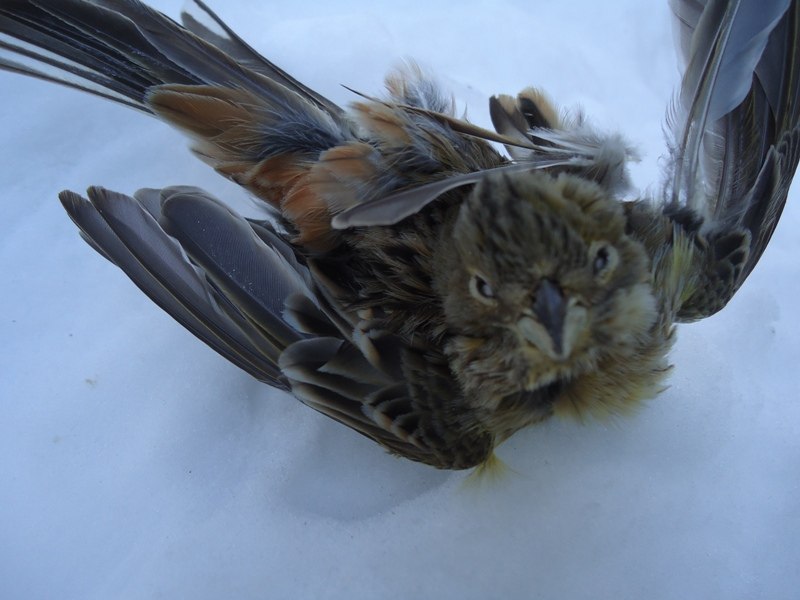 Евгений Юркевич liptonn | Минск