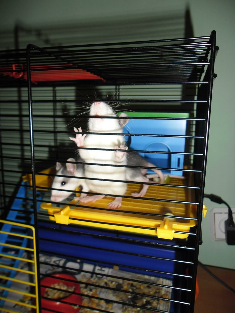 Марина Снигирева | Коммунар (поселок)