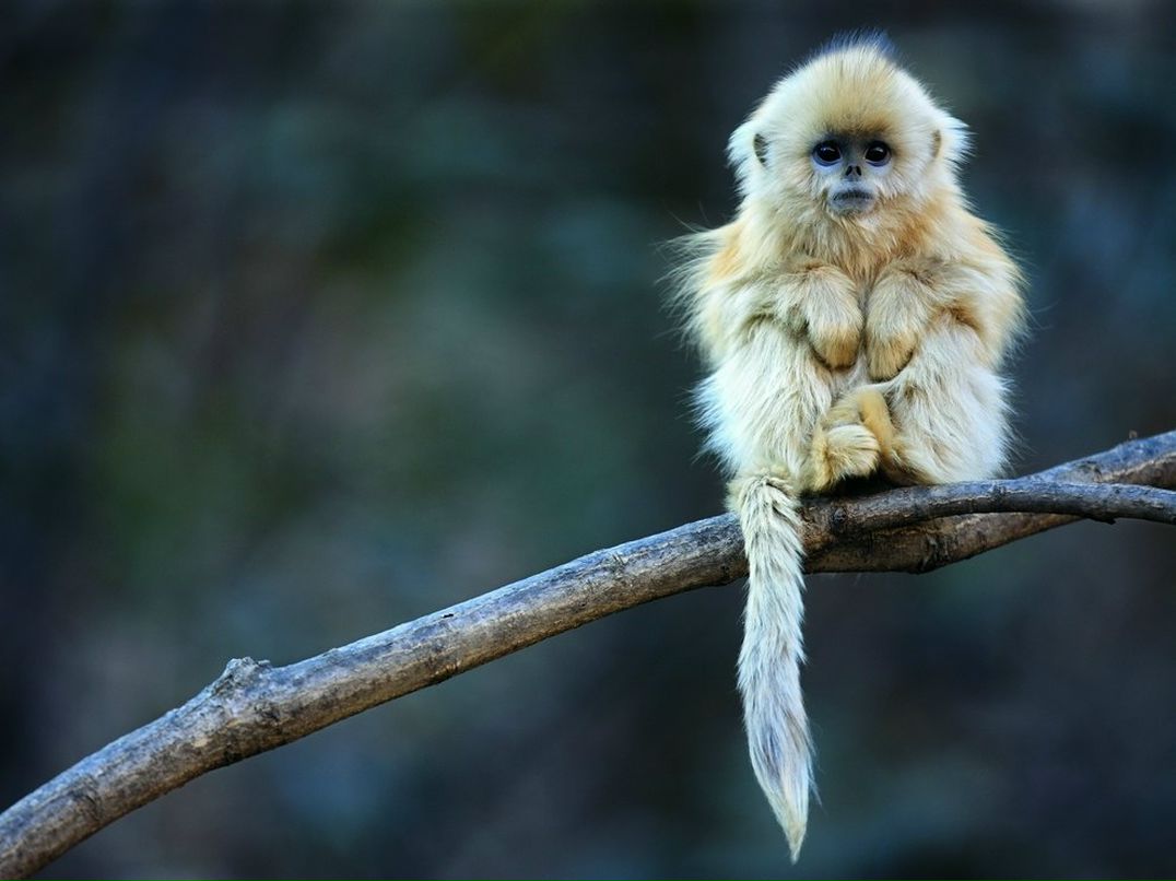 Владислав Жарков | Клайпеда