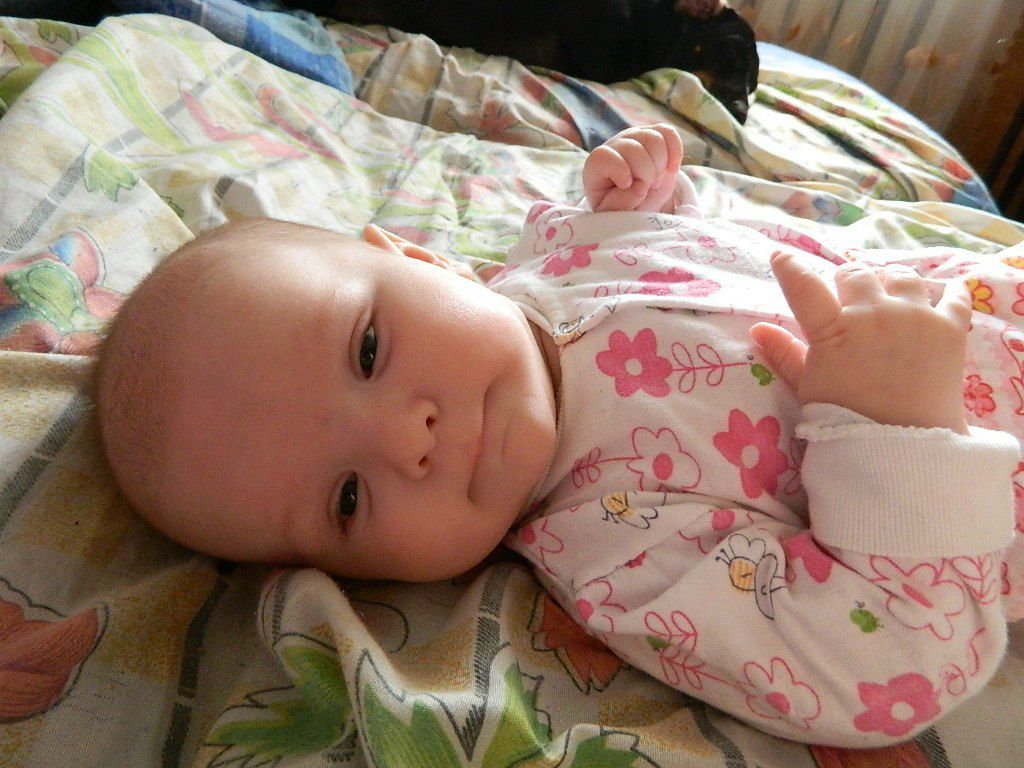 Яна Гречанюк | Сосногорск