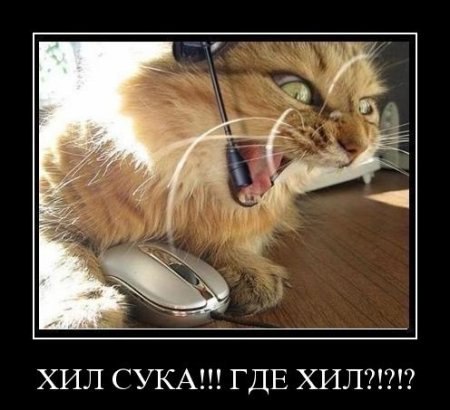 №8, Влад Зайцев, Кировское №8, Влад Зайцев, Кировское