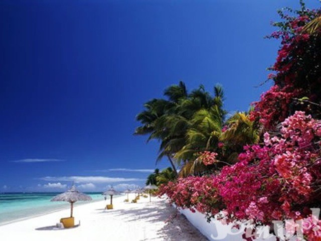 Екатерина Борисова | Нижний Новгород