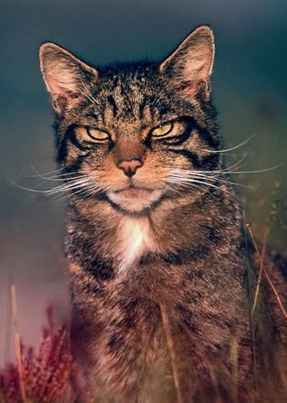 Александр Долгов | Ревда