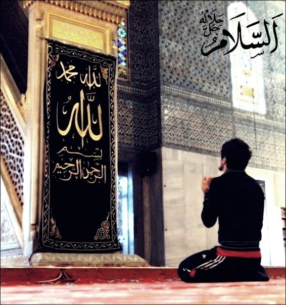 Насим Пиров | Пермь