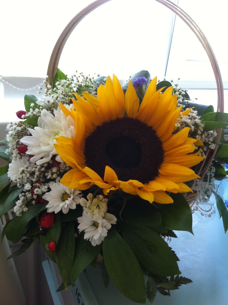 Евгения Гильде | Санкт-Петербург